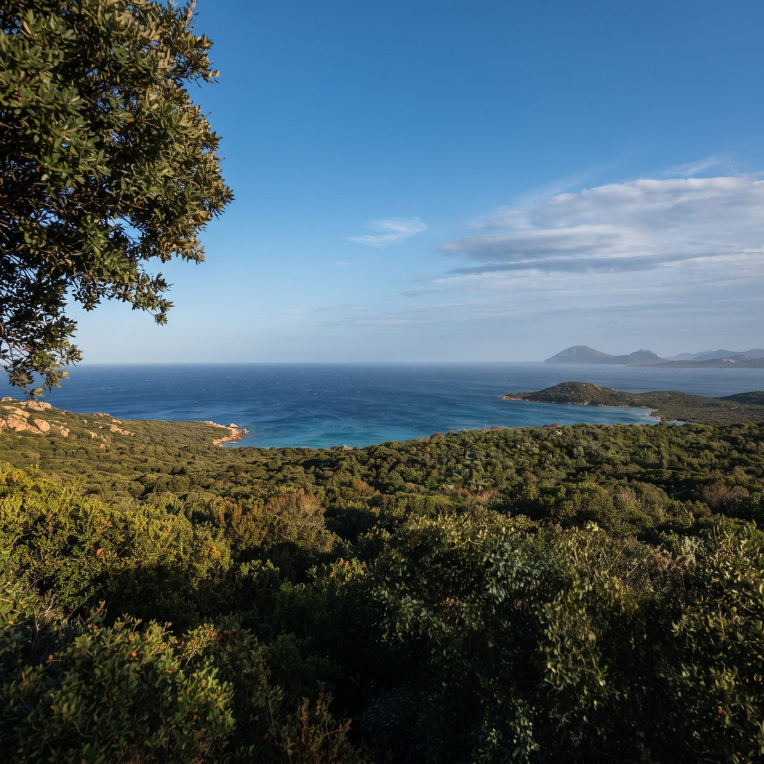 La macchia mediterranea della Gallura che scende verso il mare, con un'insenatura azzurra e le isole all'orizzonte, in Sardegna